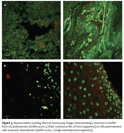 An OpenLabel, ProofofConcept Study Assessing the Effects of